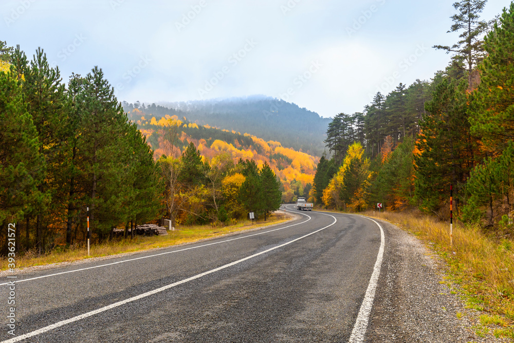 It's autumn time. Colorful leaves on the trees. Colorful leaves fallen to the ground. Autumn mood. Uludag National Park, Bursa.