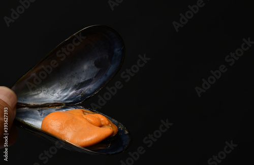 canned Galician mussels white background