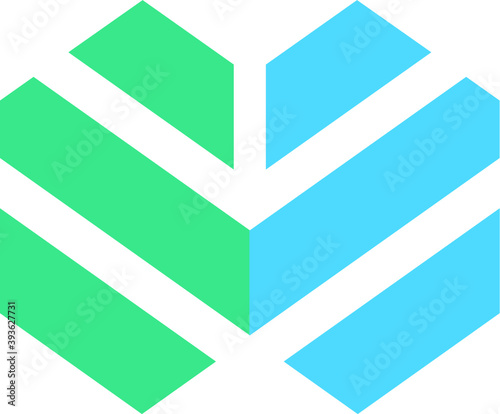vector logo design