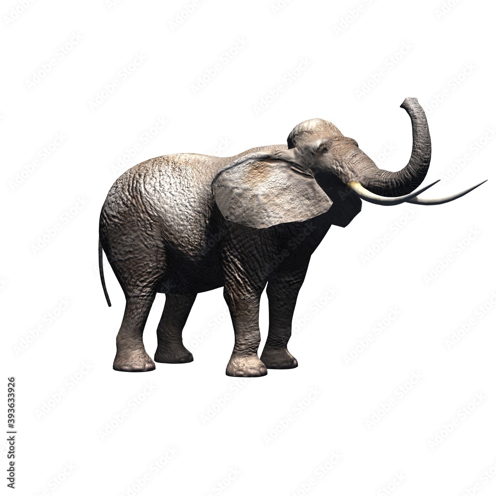 Wild animals - elephant - isolated on white background - 3D illustration