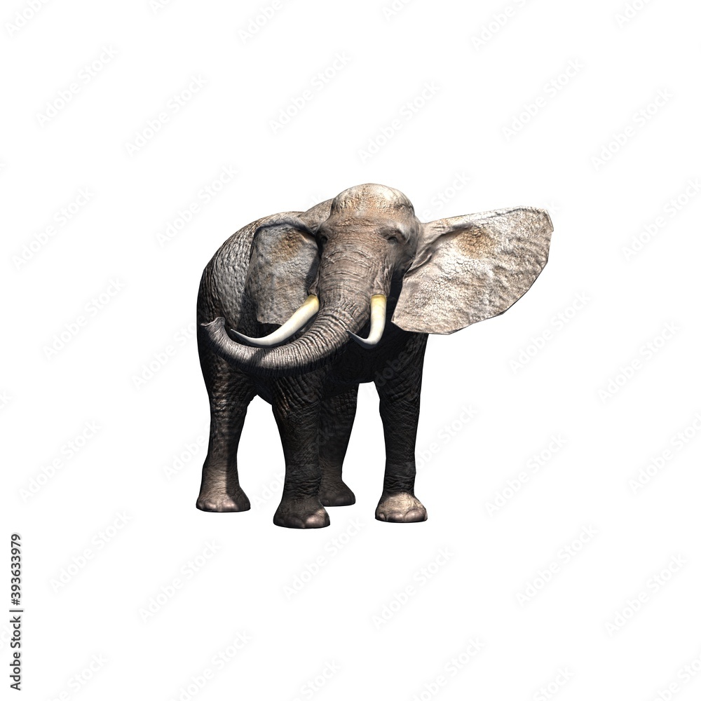 Fototapeta premium Wild animals - elephant - isolated on white background - 3D illustration