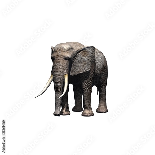 Wild animals - elephant - isolated on white background - 3D illustration