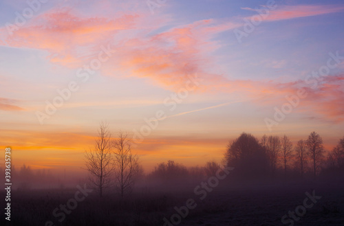 beautiful winter landscape with fog and frost © Maya Kruchancova