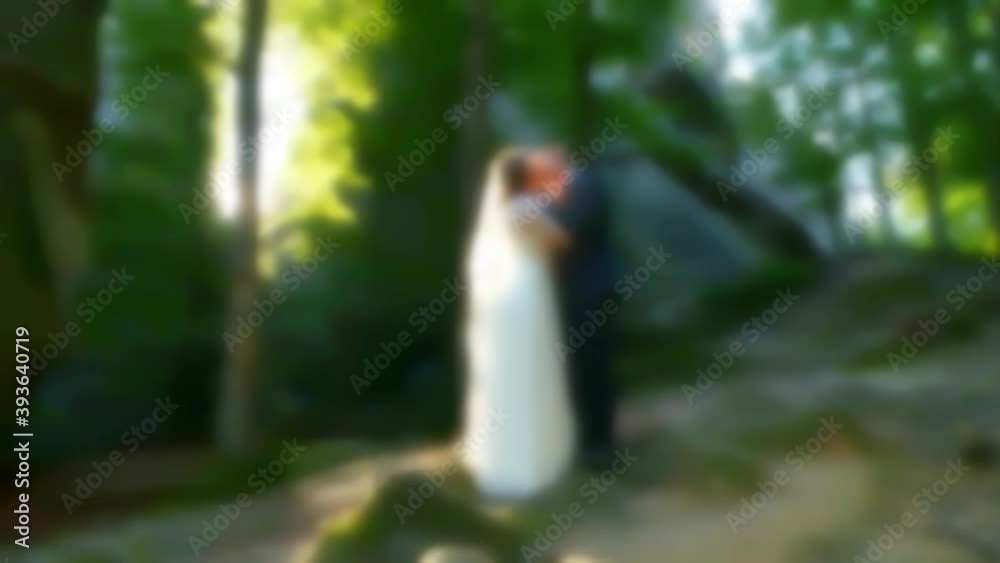 Blurred video. Beautiful wedding couple standing in forest. Lovely newlyweds hugging and kissing on nature. Groom and bride together. Romantic sunset, slow motion. Out of focus video. Blurred video. Beautiful wedding couple standing in forest. Lovely newlyweds hugging and kissing on nature. Groom and bride together. Romantic sunset, slow motion. Out of focus video.