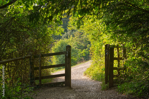 Path and gate in countryside, Surrey, England photo