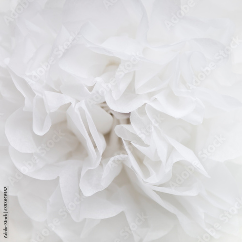White paper flower decorative background close up