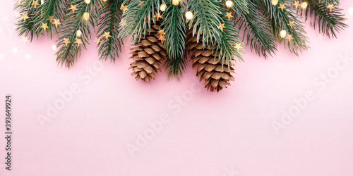 A tree branch with cones on a pink background