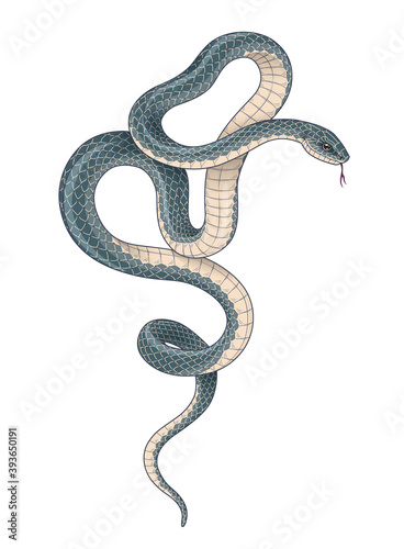Vector Hand Drawn Dark Twisted Snake