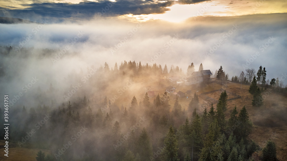 Forest covered by low clouds. Misty fall woodland. Picturesque resort Carpathians range. November morning.