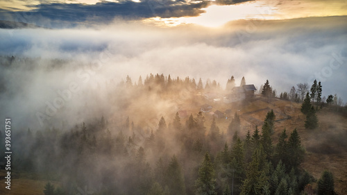 Obraz na płótnie Forest covered by low clouds. Misty fall woodland. Picturesque resort Carpathians range. November morning. w salonie