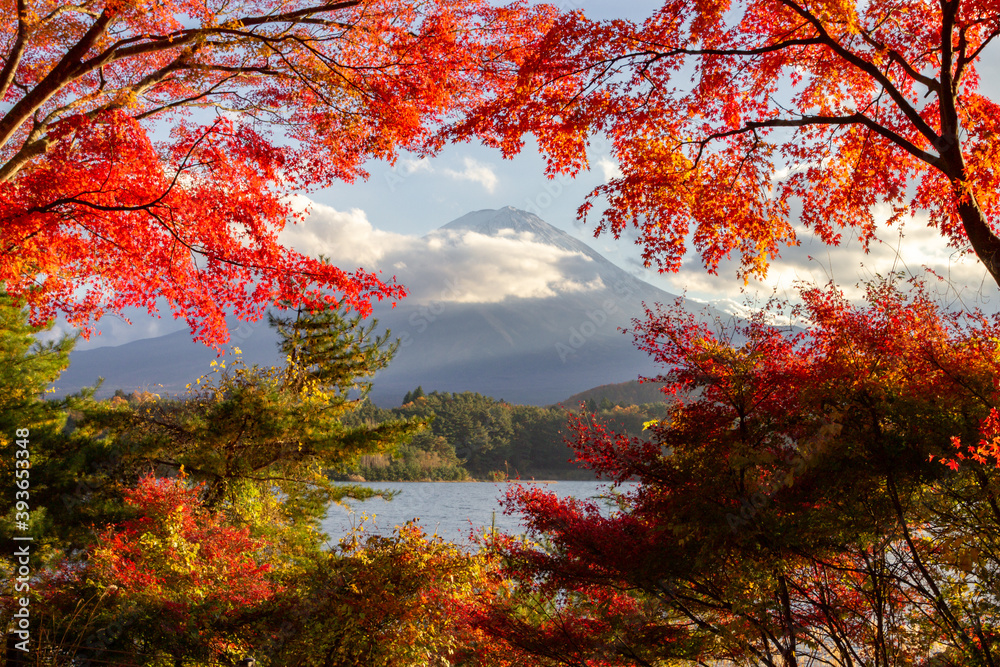 View of mountain Fuji in autumn (Japon) View of mountain Fuji in autumn (Japon)