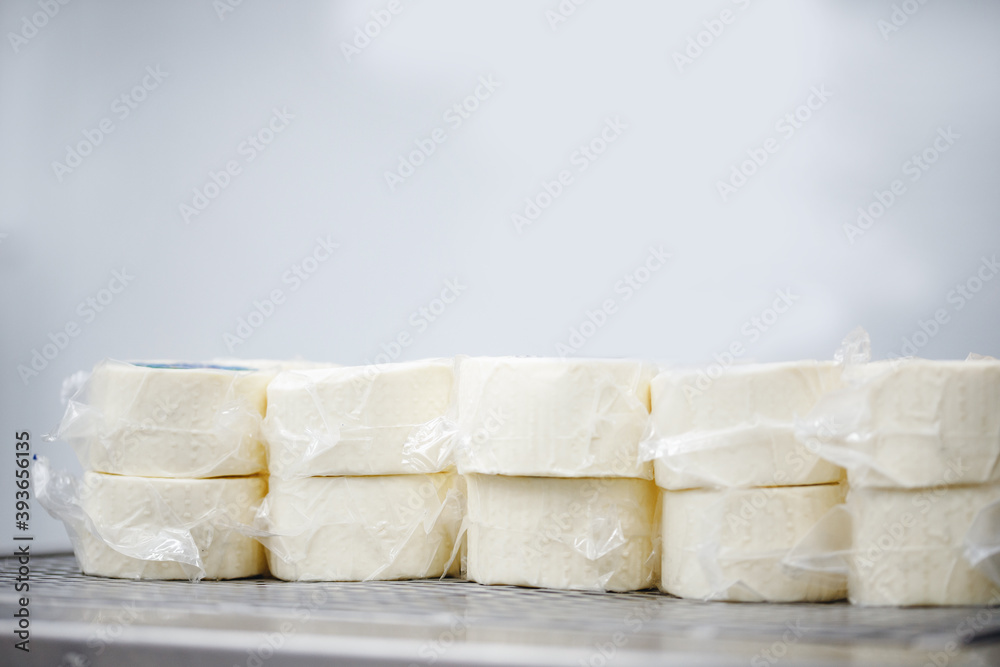 Dairy products factory, cheese ripening after primary processing