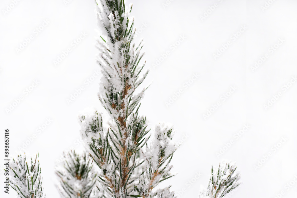 Christmas tree decoration. Merry Christmas concept. Small tree isolated on white background.