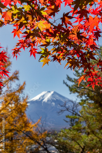 View of mountain Fuji in autumn (Japon)