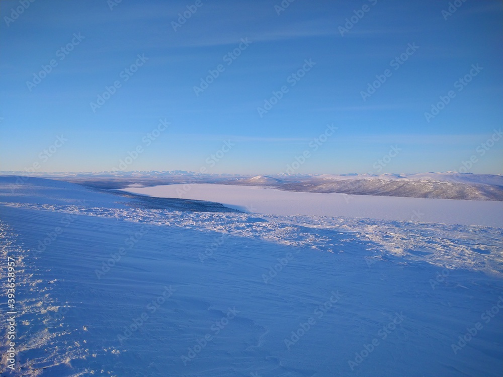 Fototapeta premium TUNDRA FOREST