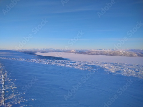 Wallpaper Mural TUNDRA  FOREST Torontodigital.ca