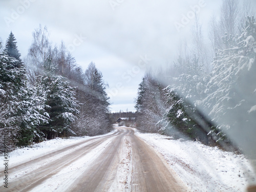snowy road surrounded by pine trees
