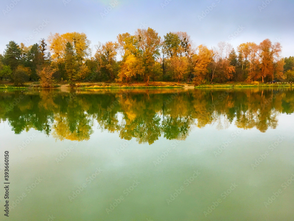 Landscape lake trees fall autumn