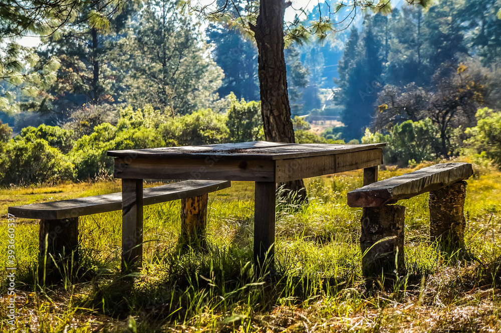 mesa en el bosque