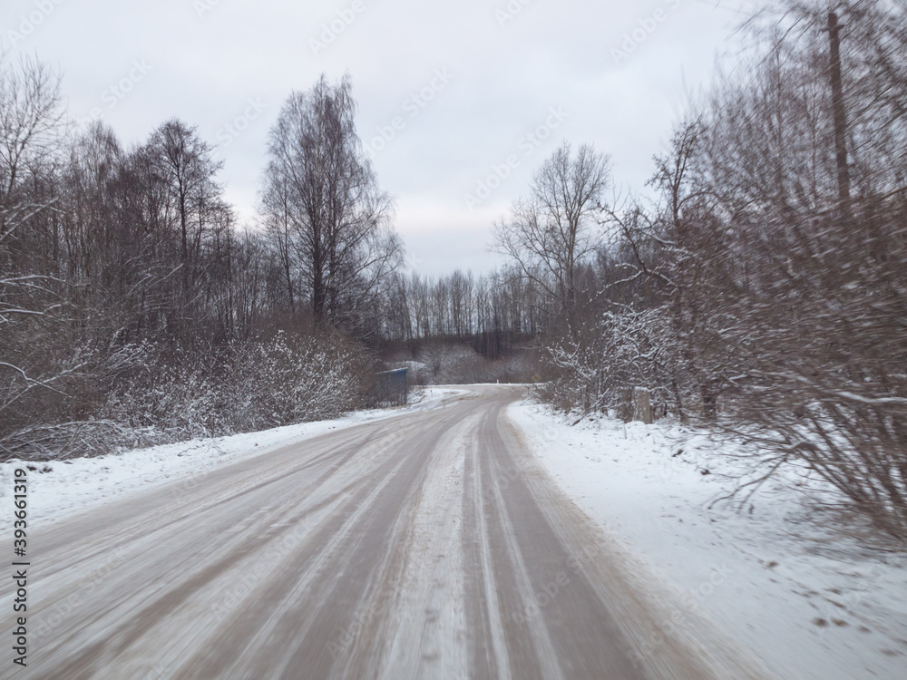 snowy road surrounded by pine trees