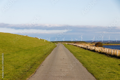 road to the sea