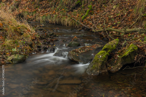 Olsovy creek near Petrovice village in Krusne mountains in autumn morning