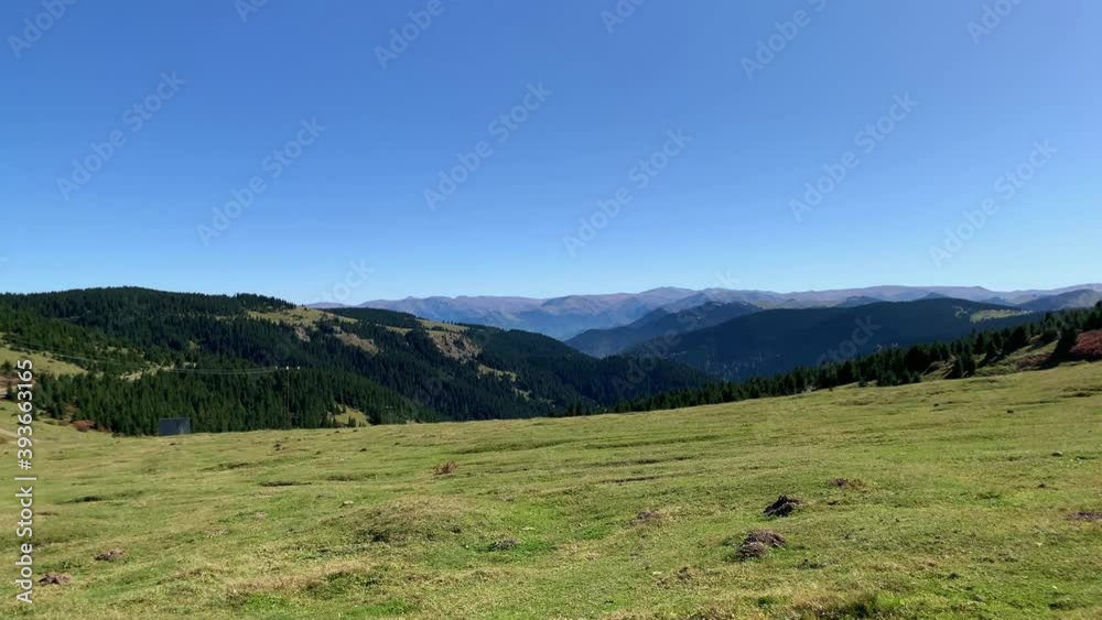 Footage of high mountains, grass fields and pine forest trees captured near mountain villages (high plateau) called Kayabasi / Hacka of Trabzon city of Black sea region (Northeast) in Turkey.