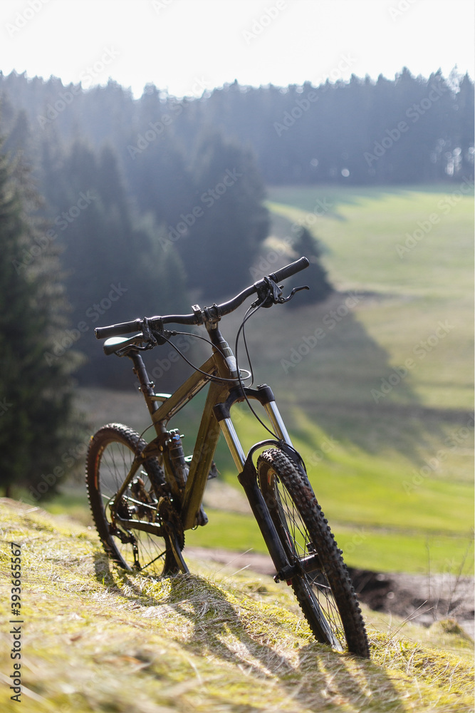 Grünes Profi Mountainbike im Schwarzwald mit Wald, Wiese, Bäumen und Sonnenstrahlen im Hintergrund 
