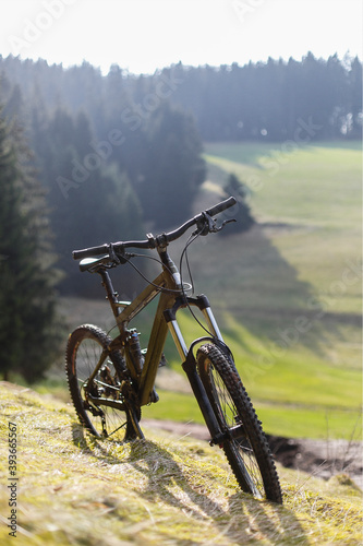 Grünes Profi Mountainbike im Schwarzwald mit Wald, Wiese, Bäumen und Sonnenstrahlen im Hintergrund 