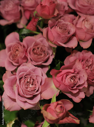 Flower composition. Macro photo. A Beautiful bouquet of fresh flowers.