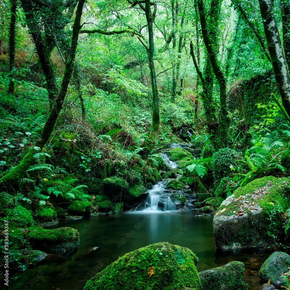 small waterfall surrounded by vegetation with long exposure small waterfall surrounded by vegetation with long exposure