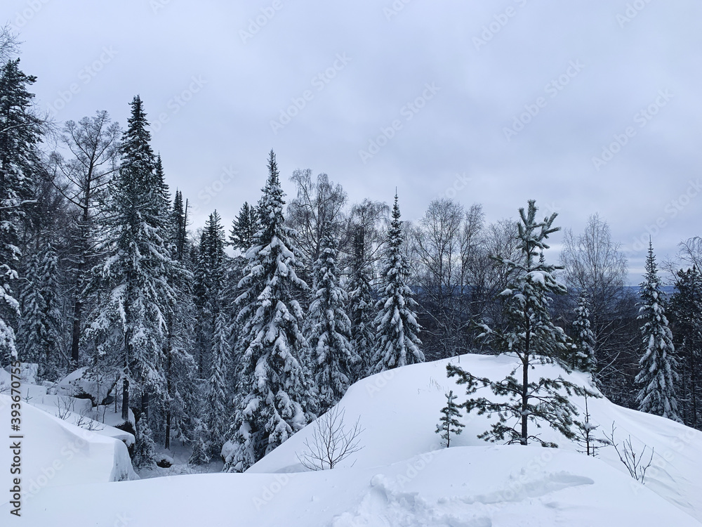 Winter snow background, Christmas postcard