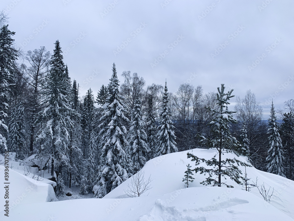 Winter snow background, Christmas postcard Winter snow background, Christmas postcard