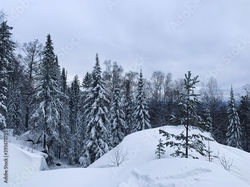 Winter snow background, Christmas postcard © Oksana
