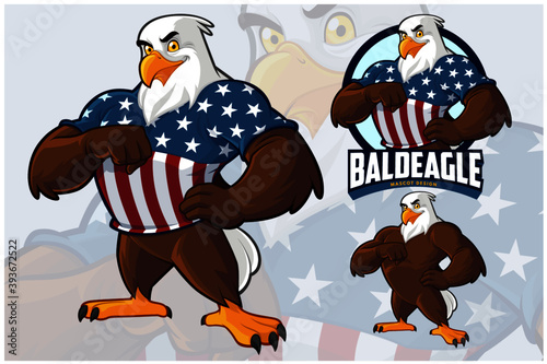 Eagle Mascot Design Set