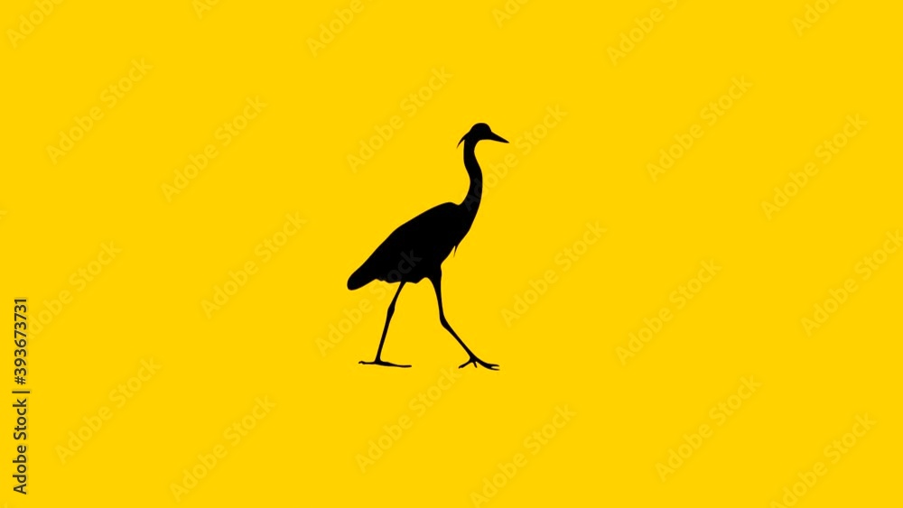 Walking grey heron, animation on the yellow background Walking grey heron, animation on the yellow background