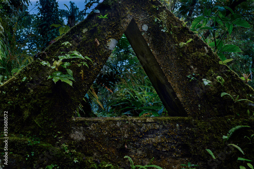 El jardin surrealista creado por Edward James en Xilitla  San Luis Potosi  M  xico. 