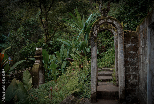 El jardin surrealista creado por Edward James en Xilitla, San Luis Potosi, México.  photo