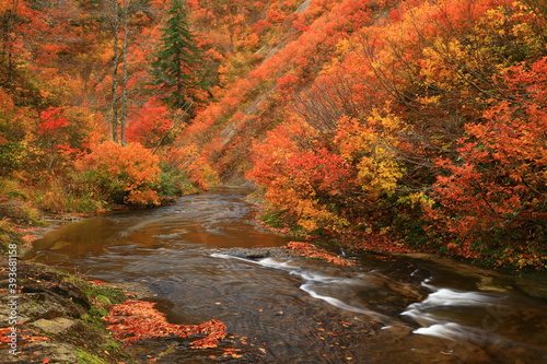 紅葉の桃洞渓谷