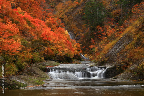 紅葉の桃洞渓谷