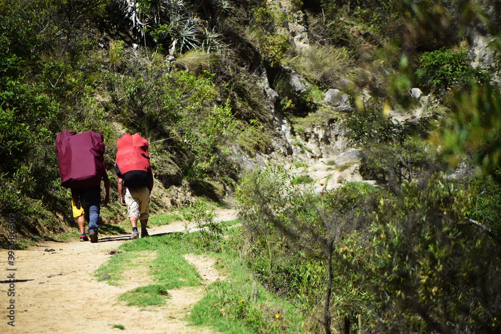 Fototapeta premium Travel adventure in Peru as people walking uphill on the footpath. Unrecognizable people hiking the Inca trail to Machu Picchu with large backpacks.