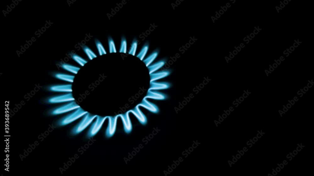 Burning gas stove hob, blue flames macro close-up in the dark on a black background. Gas is switching on, apearing blue flame. Gas stove on isolated on a black background. Burning gas stove hob, blue flames macro close-up in the dark on a black background. Gas is switching on, apearing blue flame. Gas stove on isolated on a black background.