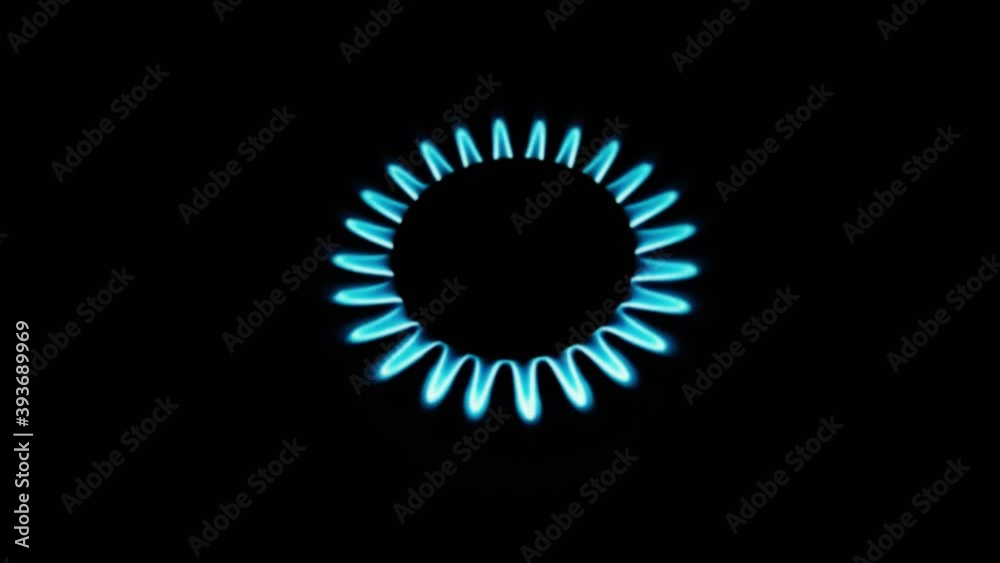 Burning gas stove hob, blue flames macro close-up in the dark on a black background. Gas is switching on, apearing blue flame. Gas stove on isolated on a black background. Burning gas stove hob, blue flames macro close-up in the dark on a black background. Gas is switching on, apearing blue flame. Gas stove on isolated on a black background.