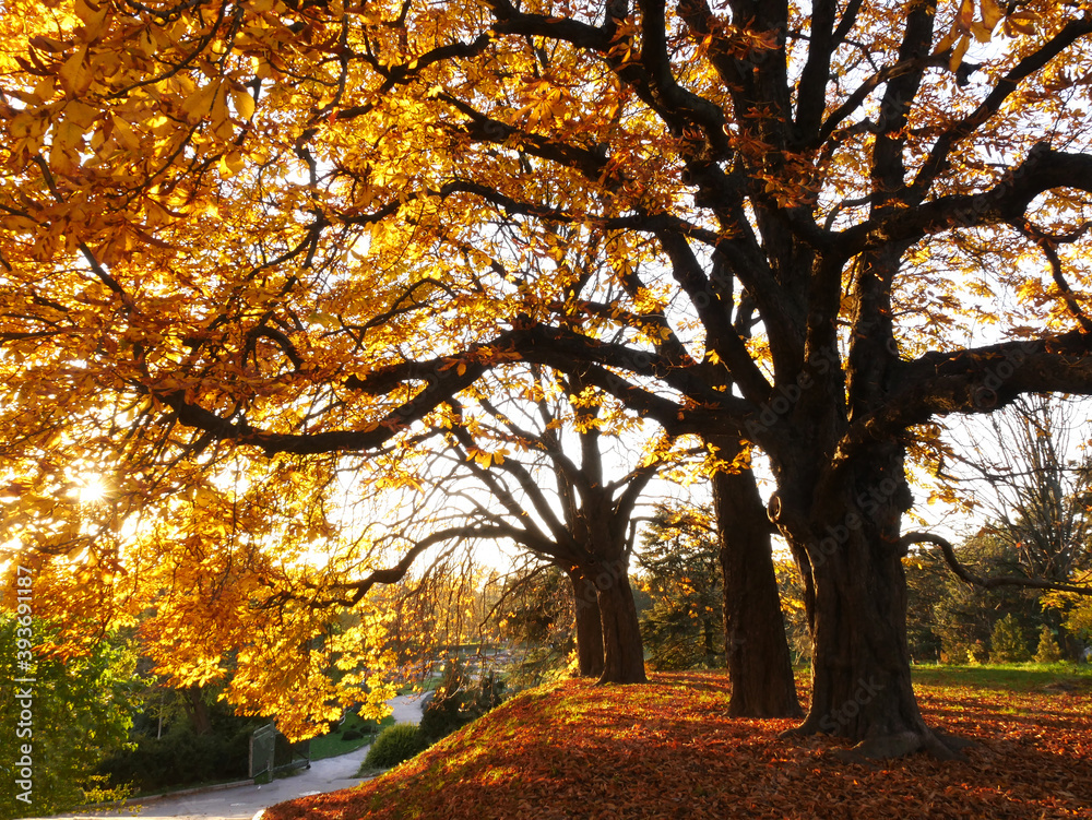 Naklejka premium Nature and city in autumn colors