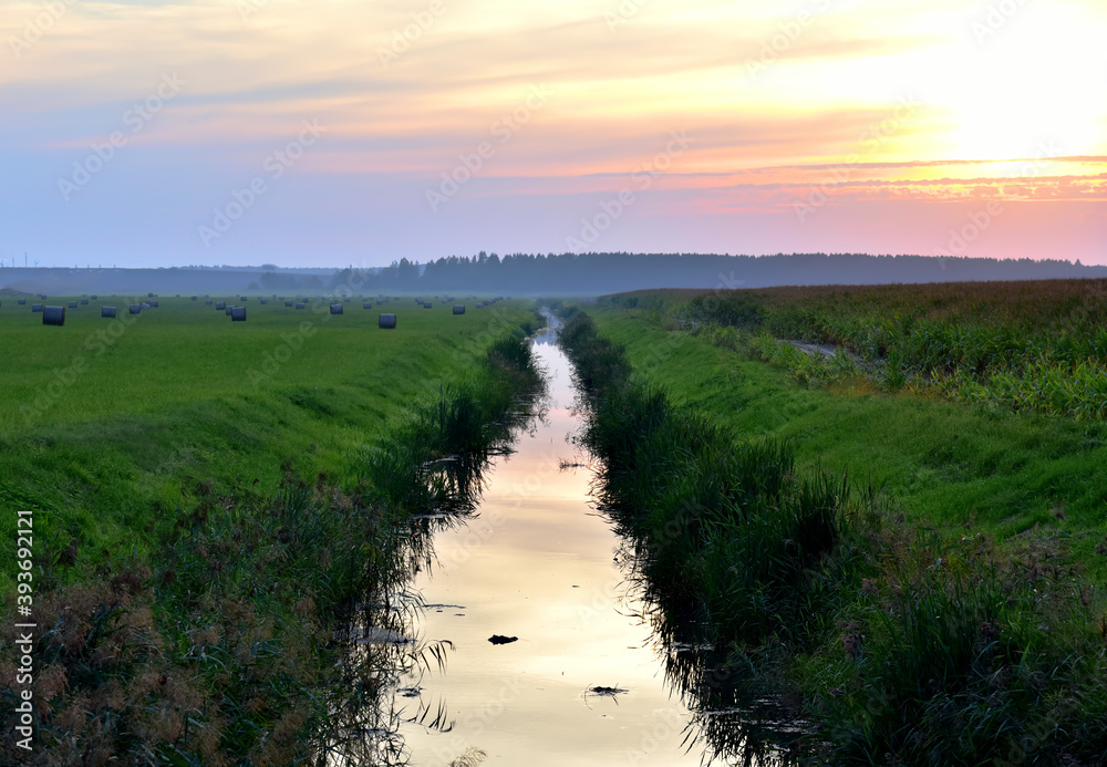 Small river in a field with green swamp water on sunset background in summer season. Wetlands declining and under threat. The problem of ecology and drainage of rivers and swamps