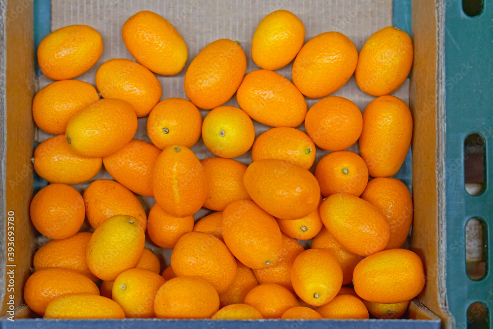 Kumquat in box