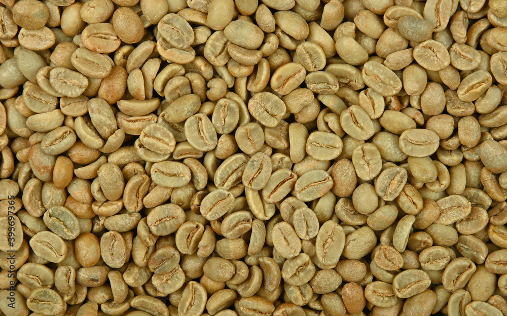 Background of unroasted raw green coffee beans Background of unroasted raw green coffee beans