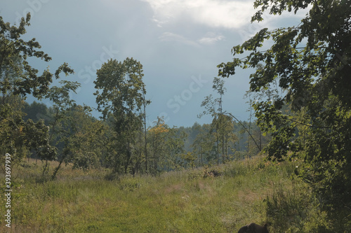 Rural nature scene