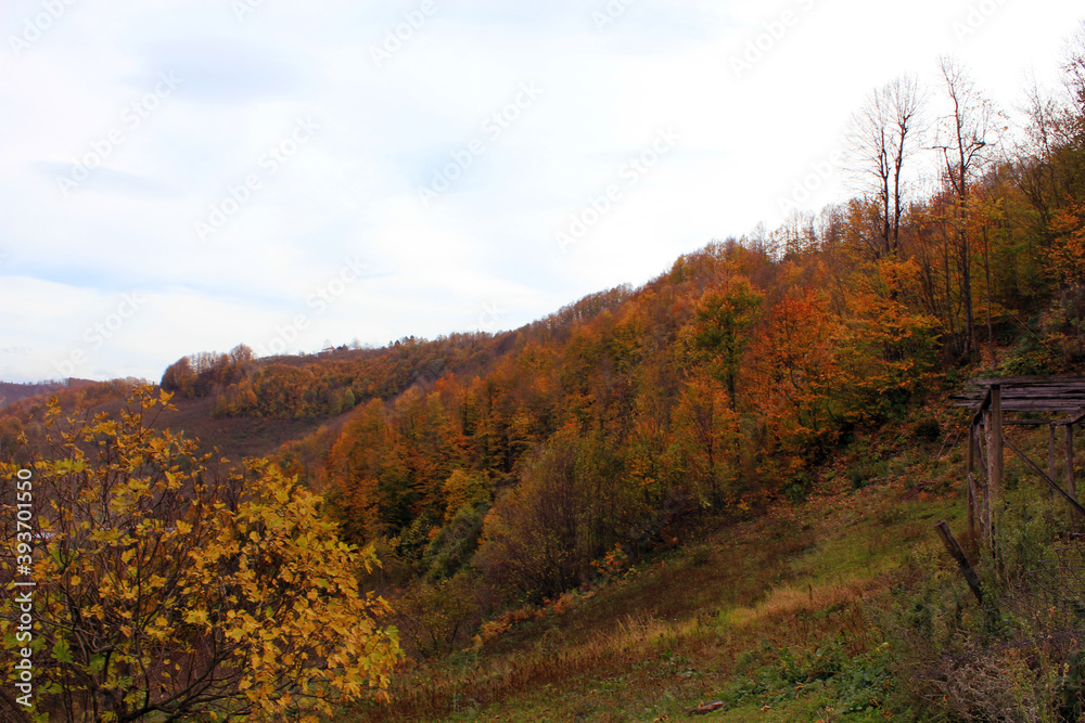 autumn in the mountains