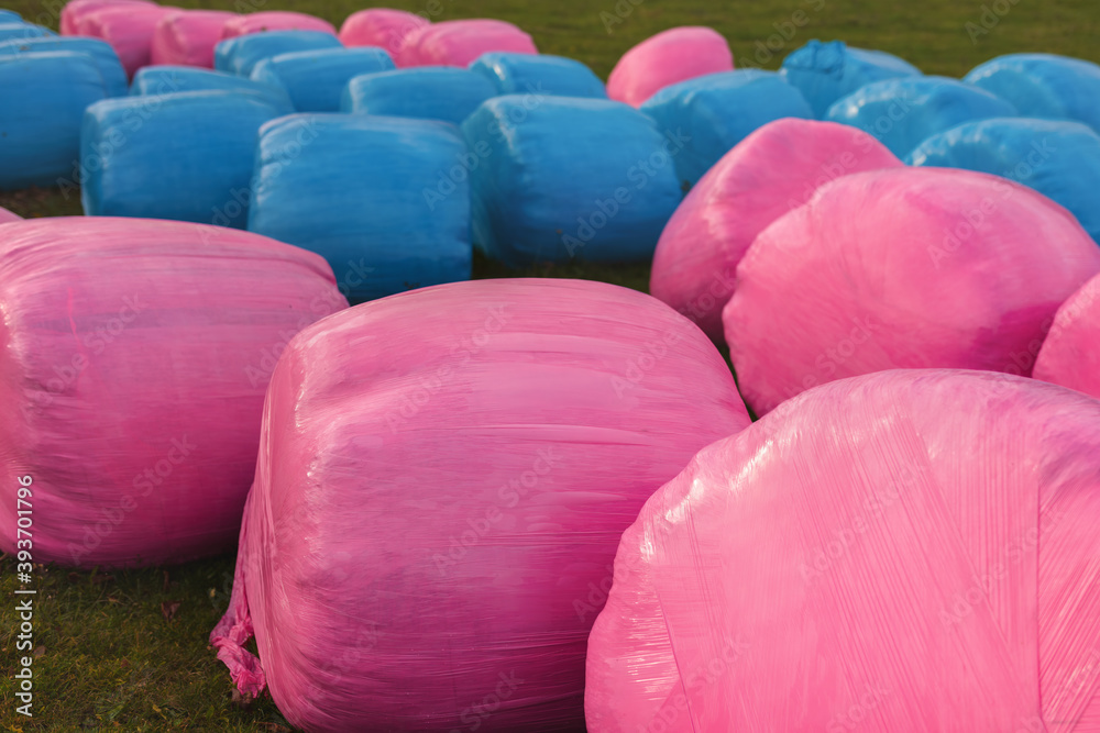 Fototapeta premium Close-up of blue and pink hay rolls. Agricultural stretch film is a method of preservation based on a standard chemical fermentation process.